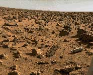 We might be living on Mars in the far future.